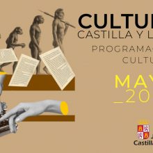 mayo cultura